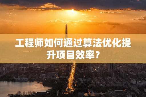 工程师如何通过算法优化提升项目效率？