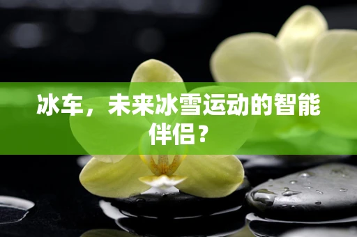 冰车，未来冰雪运动的智能伴侣？