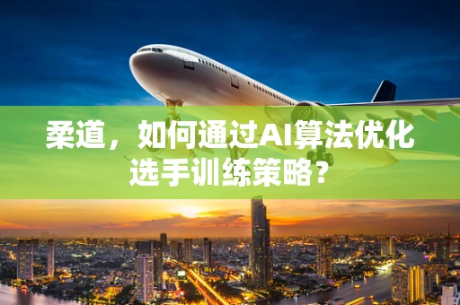 柔道，如何通过AI算法优化选手训练策略？