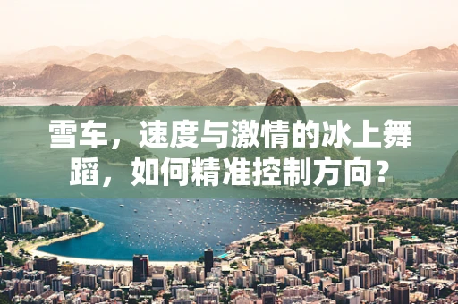 雪车，速度与激情的冰上舞蹈，如何精准控制方向？