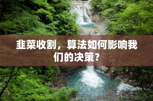 韭菜收割，算法如何影响我们的决策？