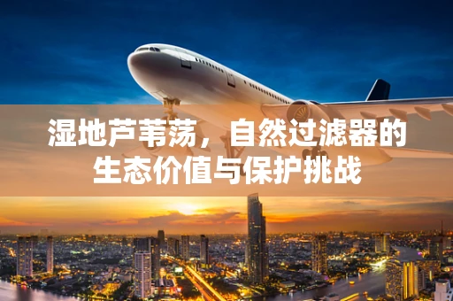 湿地芦苇荡，自然过滤器的生态价值与保护挑战
