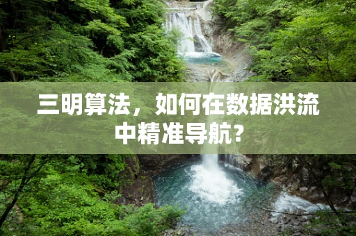 三明算法，如何在数据洪流中精准导航？