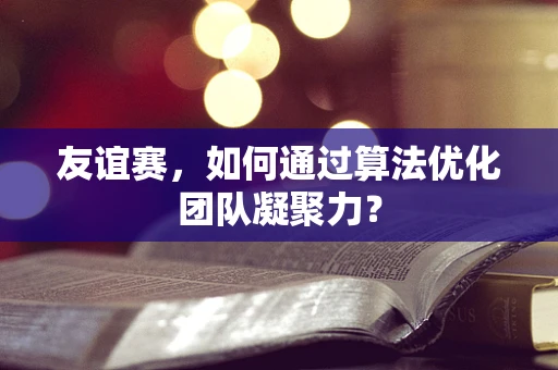 友谊赛，如何通过算法优化团队凝聚力？