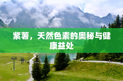 紫薯，天然色素的奥秘与健康益处