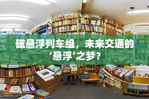 磁悬浮列车组，未来交通的‘悬浮’之梦？