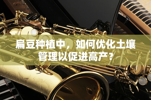 扁豆种植中，如何优化土壤管理以促进高产？