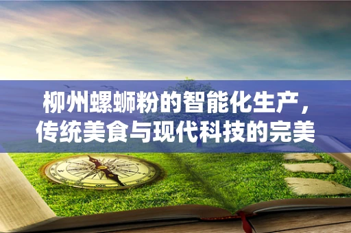 柳州螺蛳粉的智能化生产，传统美食与现代科技的完美融合？