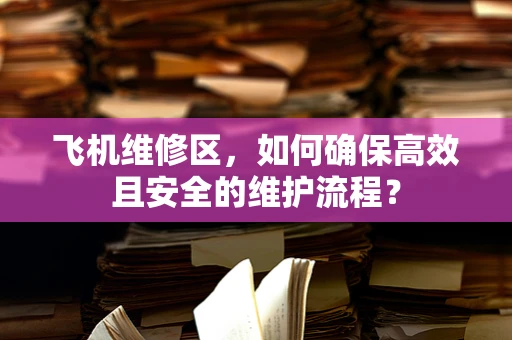 飞机维修区，如何确保高效且安全的维护流程？