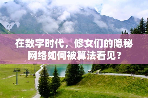在数字时代，修女们的隐秘网络如何被算法看见？