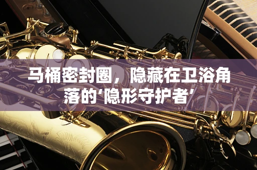 马桶密封圈，隐藏在卫浴角落的‘隐形守护者’