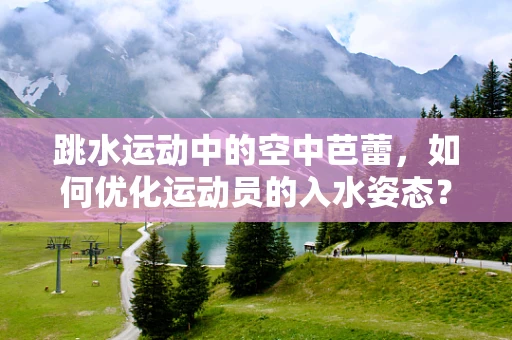跳水运动中的空中芭蕾，如何优化运动员的入水姿态？