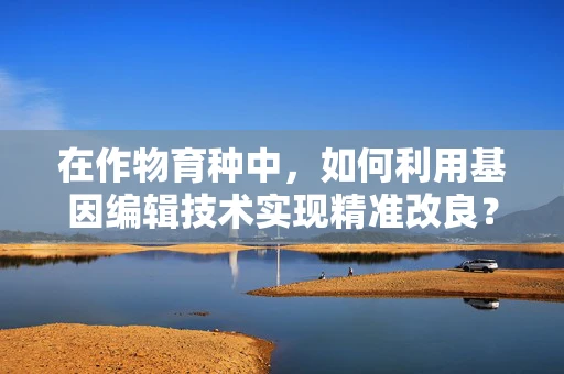 在作物育种中，如何利用基因编辑技术实现精准改良？