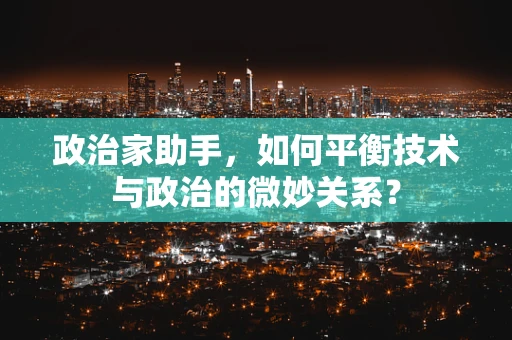 政治家助手，如何平衡技术与政治的微妙关系？