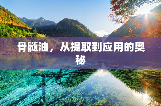 骨髓油，从提取到应用的奥秘