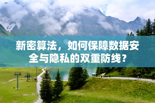 新密算法，如何保障数据安全与隐私的双重防线？