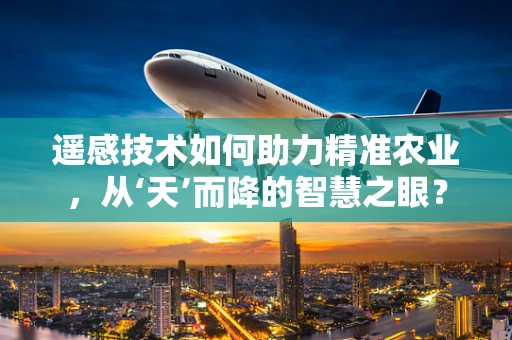 遥感技术如何助力精准农业，从‘天’而降的智慧之眼？