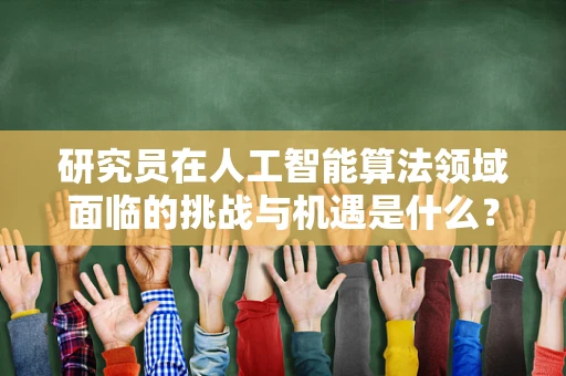 研究员在人工智能算法领域面临的挑战与机遇是什么？