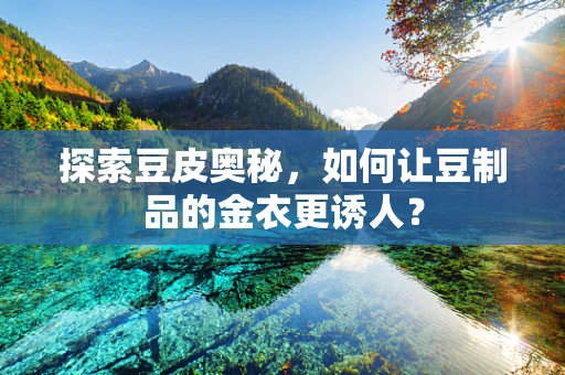 探索豆皮奥秘，如何让豆制品的金衣更诱人？