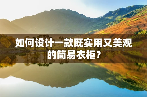 如何设计一款既实用又美观的简易衣柜？