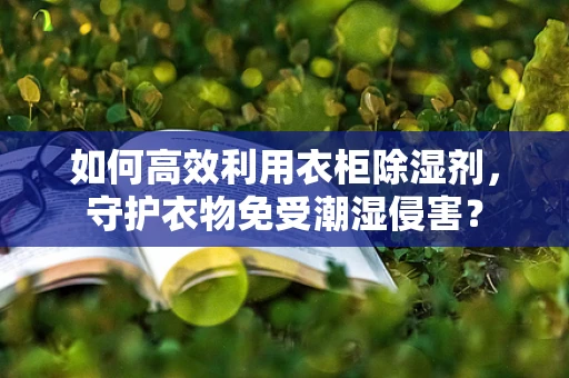 如何高效利用衣柜除湿剂，守护衣物免受潮湿侵害？