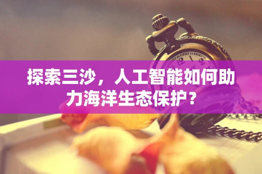 探索三沙，人工智能如何助力海洋生态保护？