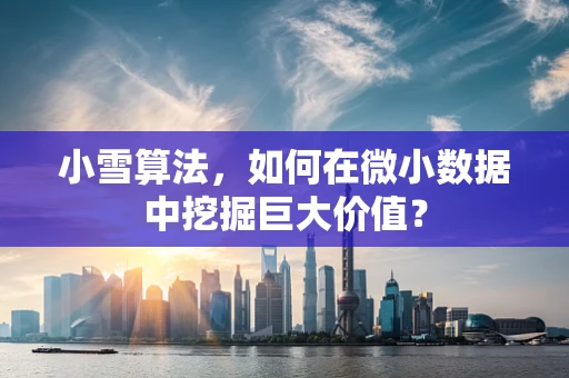 小雪算法，如何在微小数据中挖掘巨大价值？