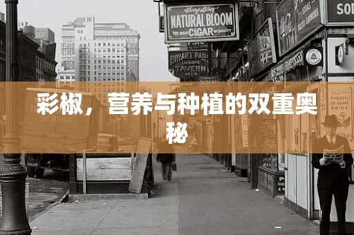 彩椒，营养与种植的双重奥秘
