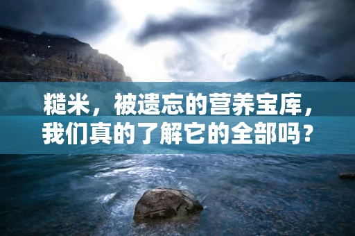糙米，被遗忘的营养宝库，我们真的了解它的全部吗？