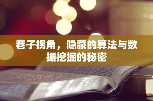 巷子拐角，隐藏的算法与数据挖掘的秘密