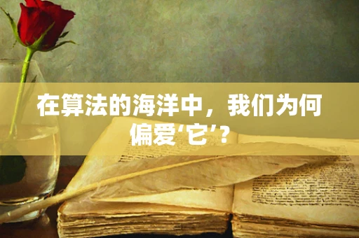 在算法的海洋中，我们为何偏爱‘它’？