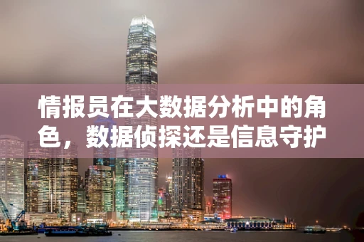 情报员在大数据分析中的角色，数据侦探还是信息守护者？