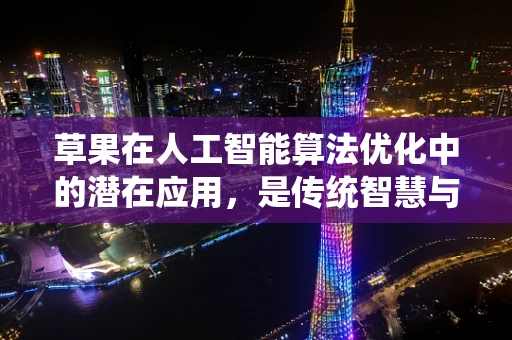 草果在人工智能算法优化中的潜在应用，是传统智慧与现代科技的碰撞吗？