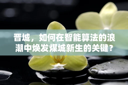 晋城，如何在智能算法的浪潮中焕发煤城新生的关键？