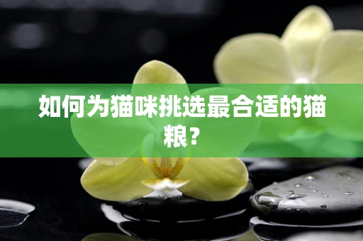 如何为猫咪挑选最合适的猫粮？