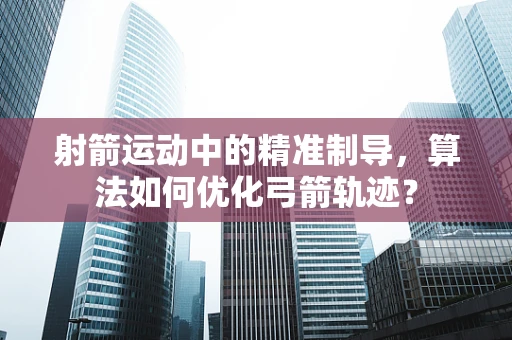 射箭运动中的精准制导，算法如何优化弓箭轨迹？