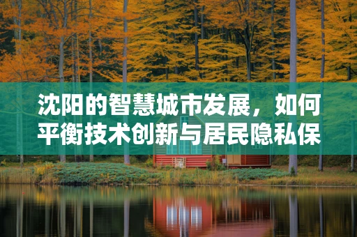 沈阳的智慧城市发展，如何平衡技术创新与居民隐私保护？