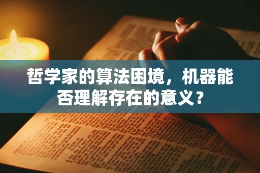 哲学家的算法困境，机器能否理解存在的意义？