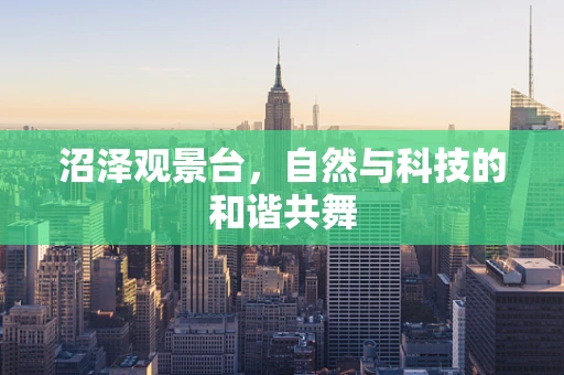 沼泽观景台，自然与科技的和谐共舞