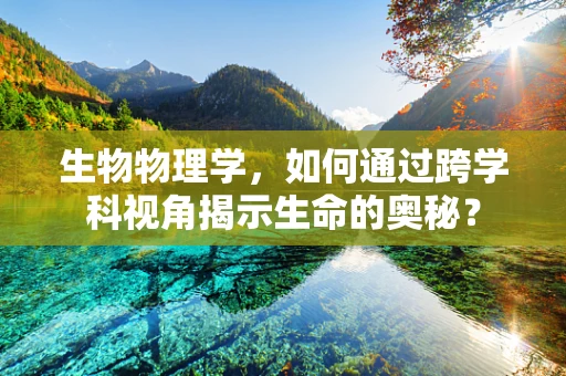 生物物理学，如何通过跨学科视角揭示生命的奥秘？