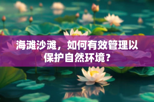 海滩沙滩，如何有效管理以保护自然环境？