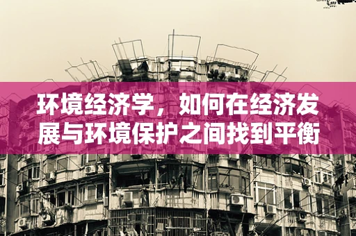 环境经济学，如何在经济发展与环境保护之间找到平衡？
