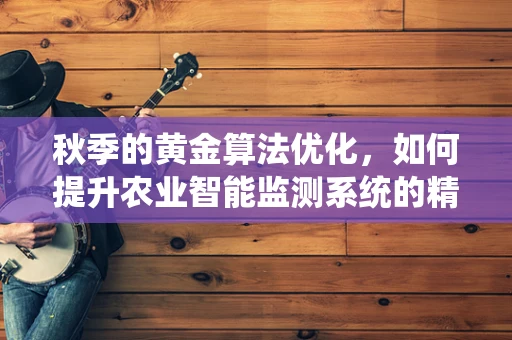 秋季的黄金算法优化，如何提升农业智能监测系统的精准度？