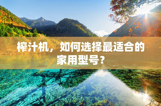 榨汁机，如何选择最适合的家用型号？
