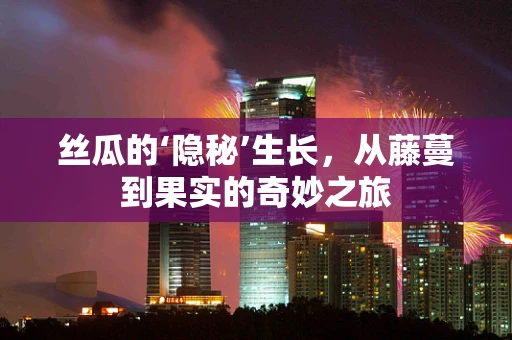 丝瓜的‘隐秘’生长，从藤蔓到果实的奇妙之旅