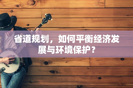省道规划，如何平衡经济发展与环境保护？