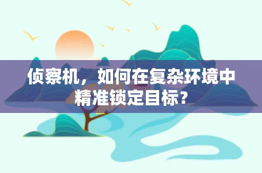 侦察机，如何在复杂环境中精准锁定目标？