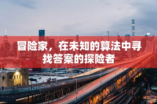 冒险家，在未知的算法中寻找答案的探险者