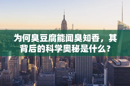 为何臭豆腐能闻臭知香，其背后的科学奥秘是什么？