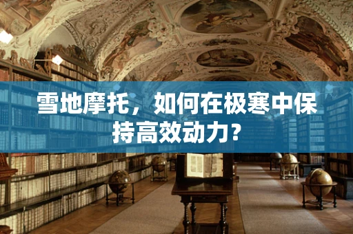 雪地摩托，如何在极寒中保持高效动力？